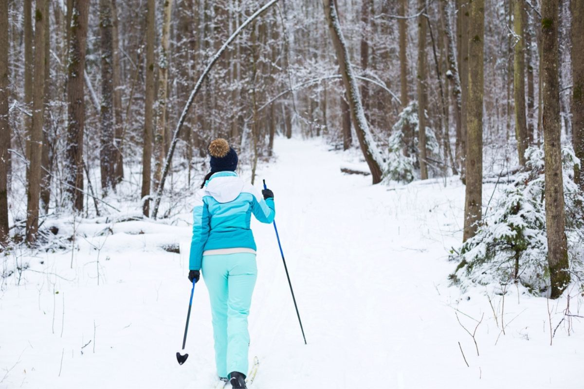 A female skier wearing a windbreaker at winter forest.